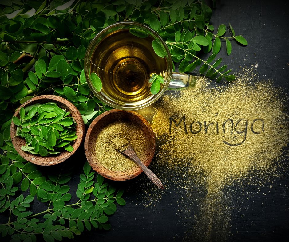 Read more about the article Moringa Extract: Your Ultimate Immune-Boosting Powerhouse